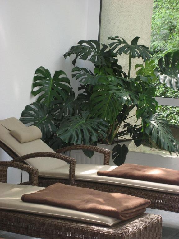 Hotel Anna Badenweiler